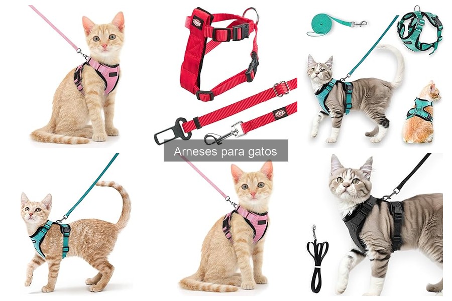 Cómo Poner un Arnés a un Gato: Guía Rápida y Segura