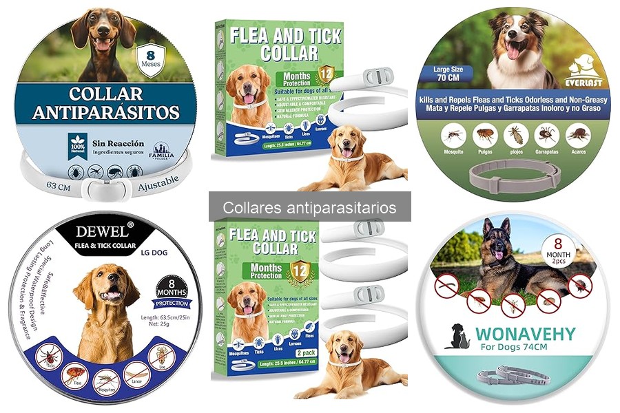 Cómo poner y ajustar un collar antiparasitario para tu perro
