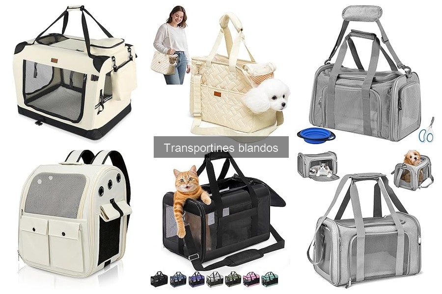 Cómo transportar a tu mascota de forma segura en transportines