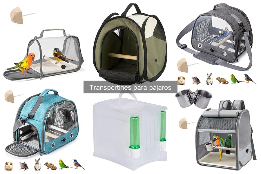 Cómo transportar aves de forma segura en coche