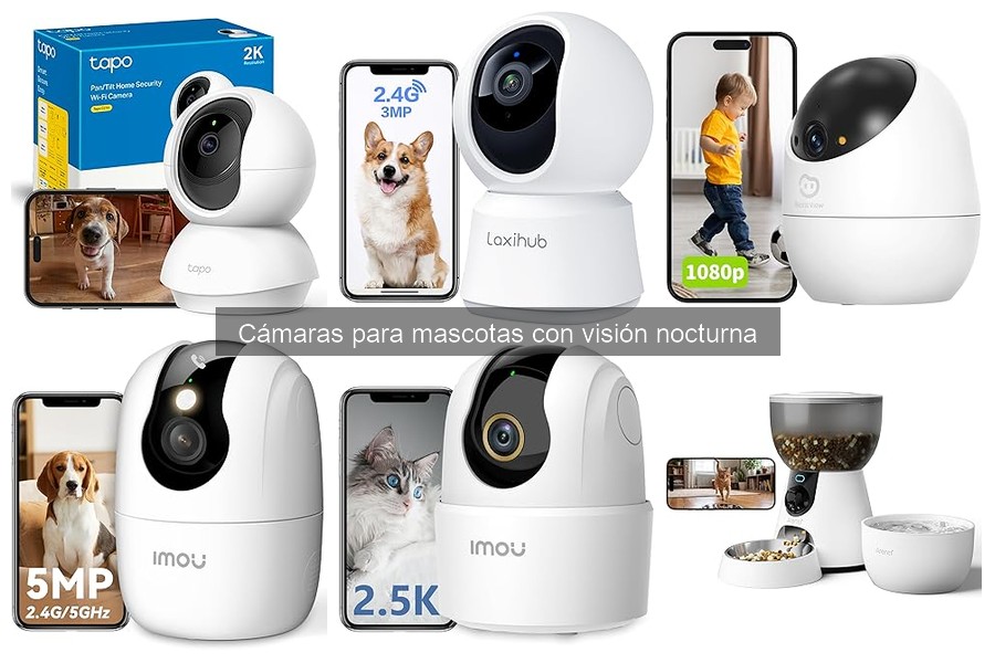 Cómo usar cámaras para mascotas con visión nocturna efectivamente