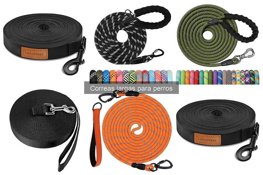 Cómo Usar Correas Largas para Perros de Forma Segura