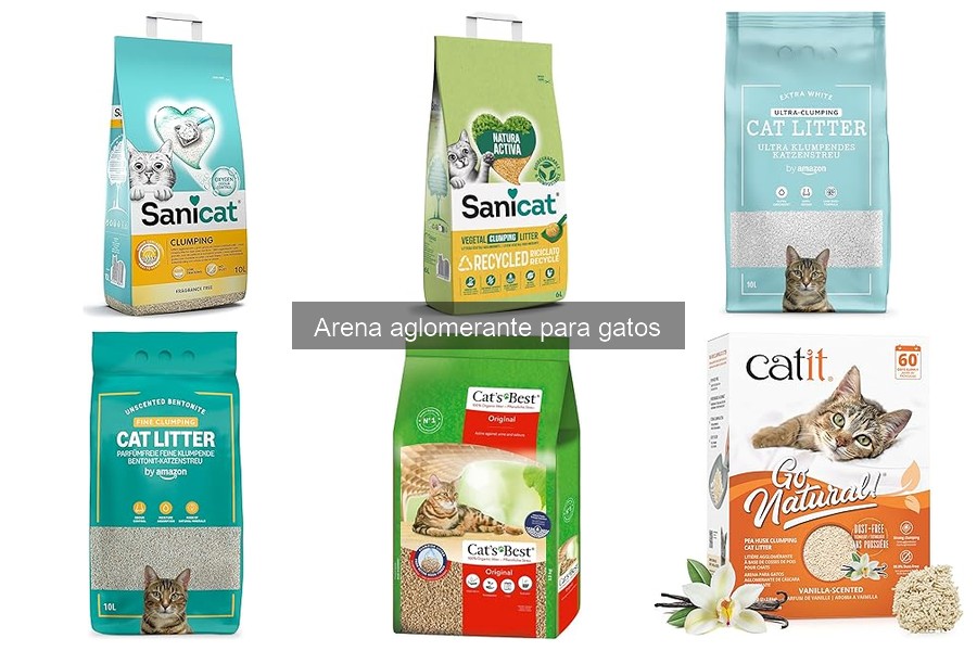 Cómo usar correctamente la arena aglomerante para gatos