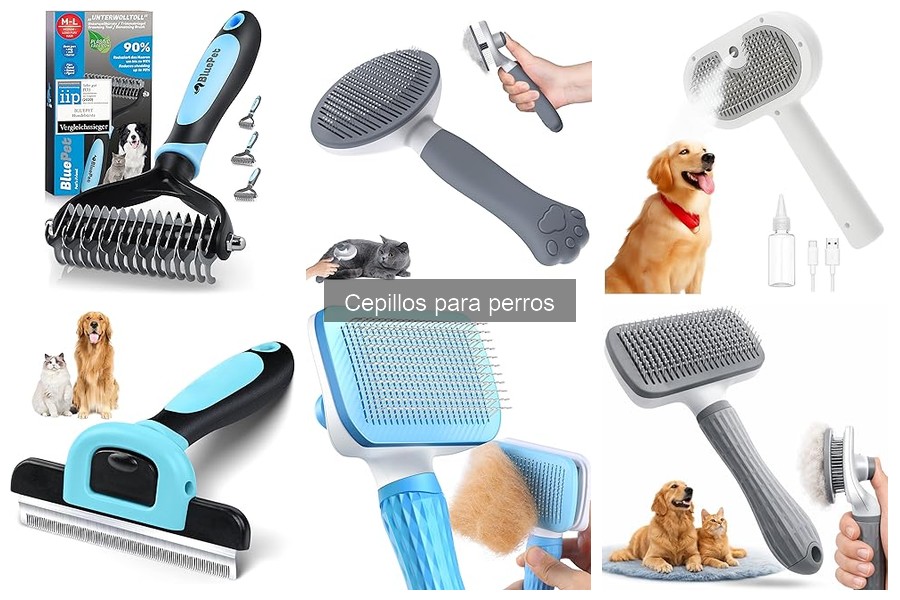 Cómo usar correctamente un cepillo para perros: guía práctica