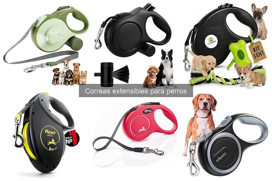 Cómo usar correctamente una correa extensible para perros
