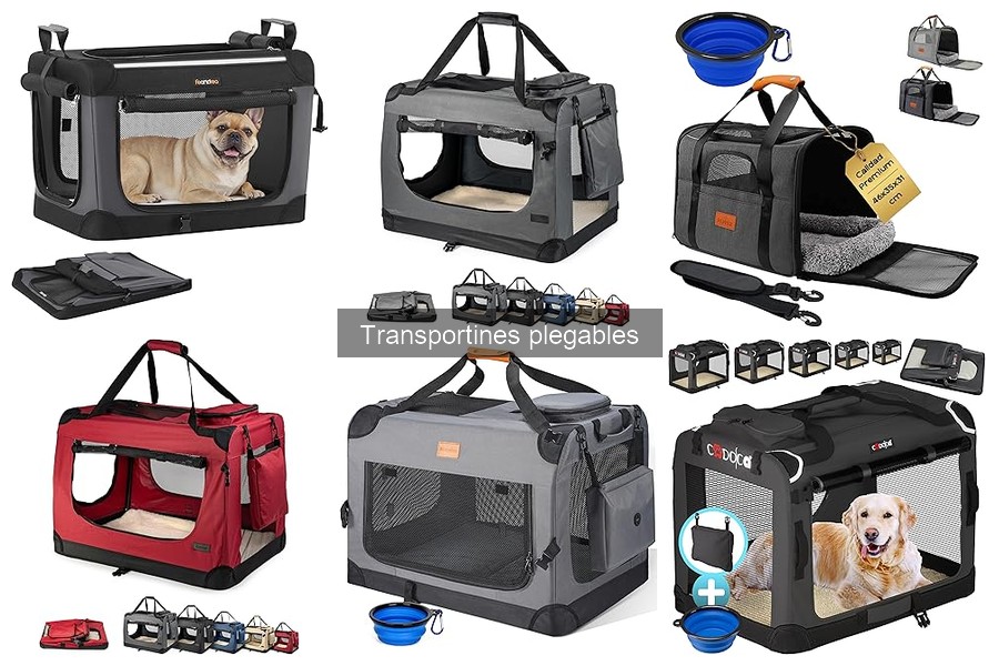 Cómo usar un transportín plegable para tu mascota