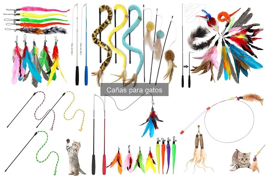 Cómo Usar una Caña para Gatos: Guía Práctica