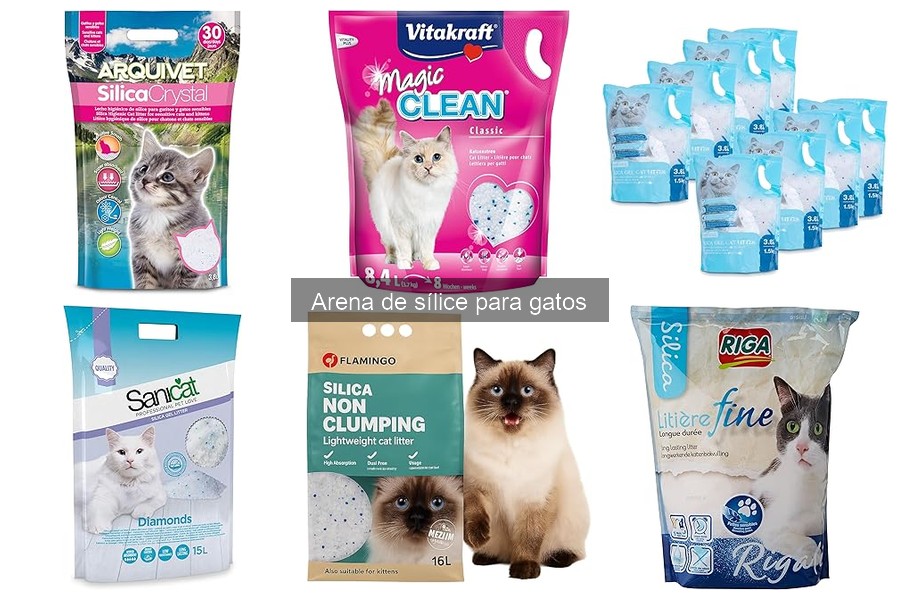 Cómo usar y mantener la arena de sílice para gatos