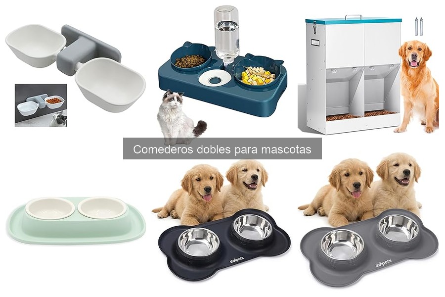 Cómo utilizar un comedero doble para mascotas correctamente