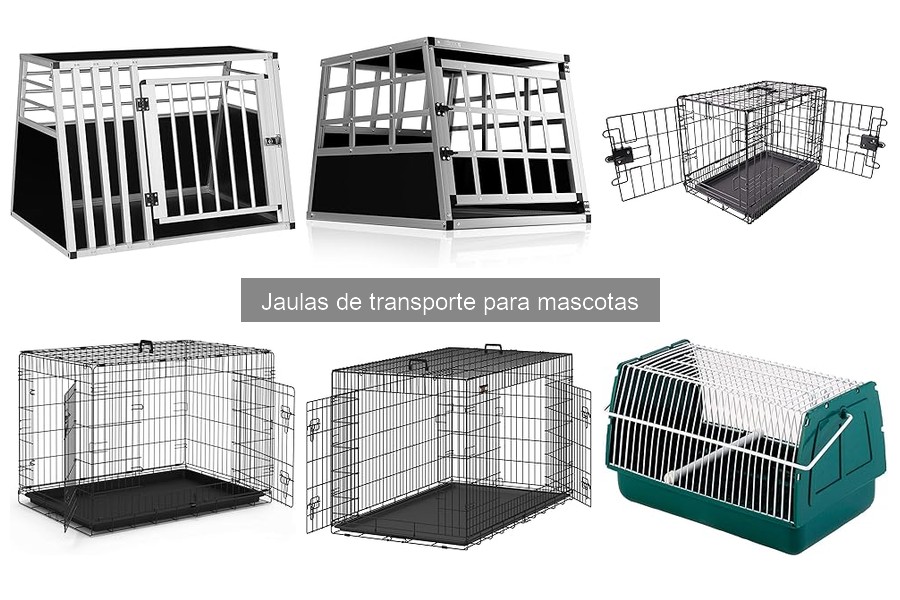 Cómo viajar en avión con jaulas de transporte de mascotas