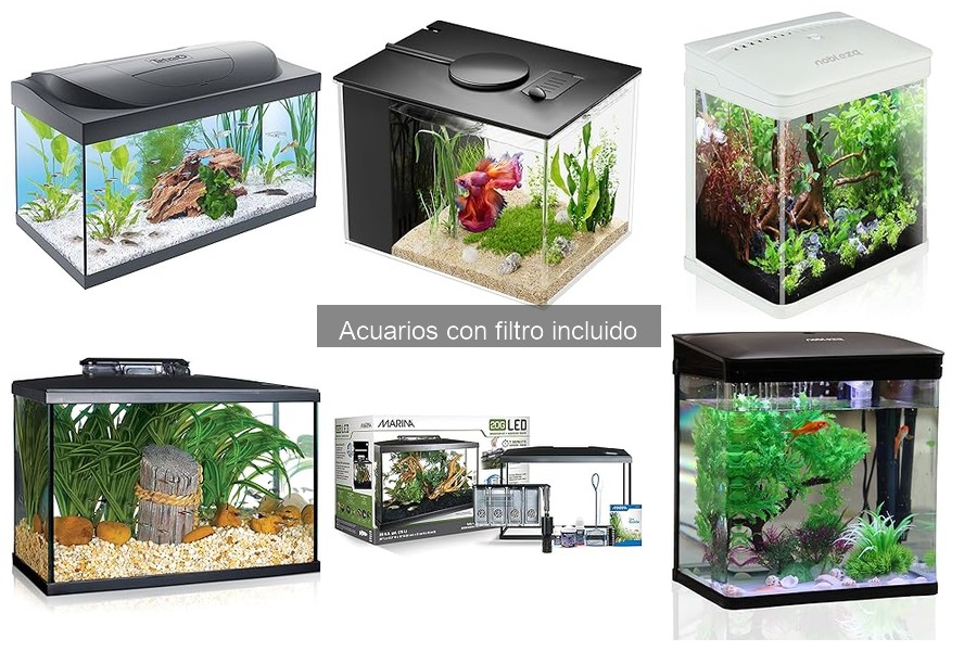 Comparativa: Acuarios con Filtro Interno vs Externo