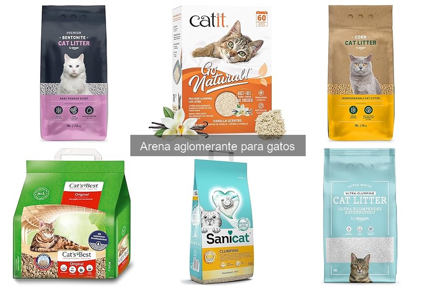 Comparativa: Arena aglomerante de arcilla vs biopolímeros