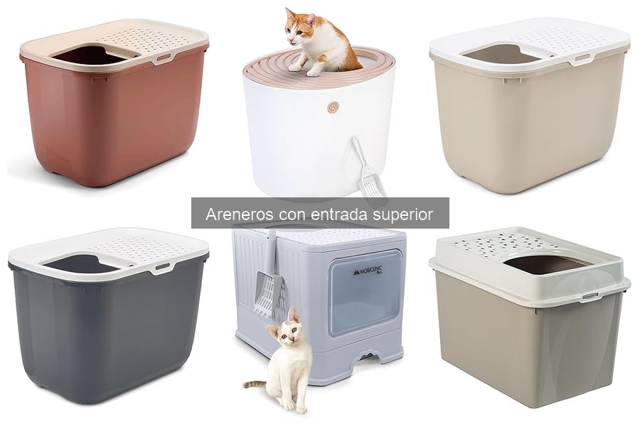 Comparativa: Areneros con Entrada Superior vs Tradicionales
