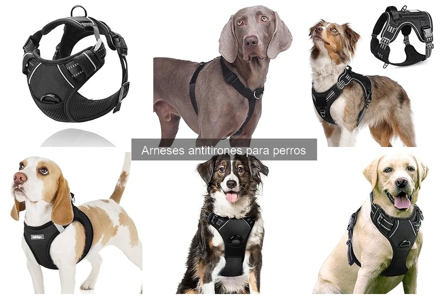 Comparativa: Arnés Antitirones vs. Collar de Entrenamiento