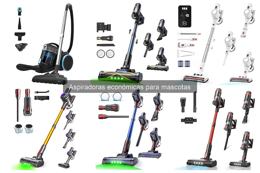 Comparativa: Aspiradoras económicas vs. alta gama para mascotas