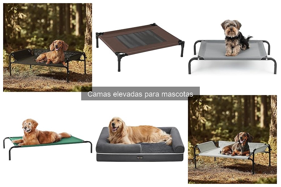 Comparativa: Camas Elevadas vs Camas Tradicionales para Mascotas
