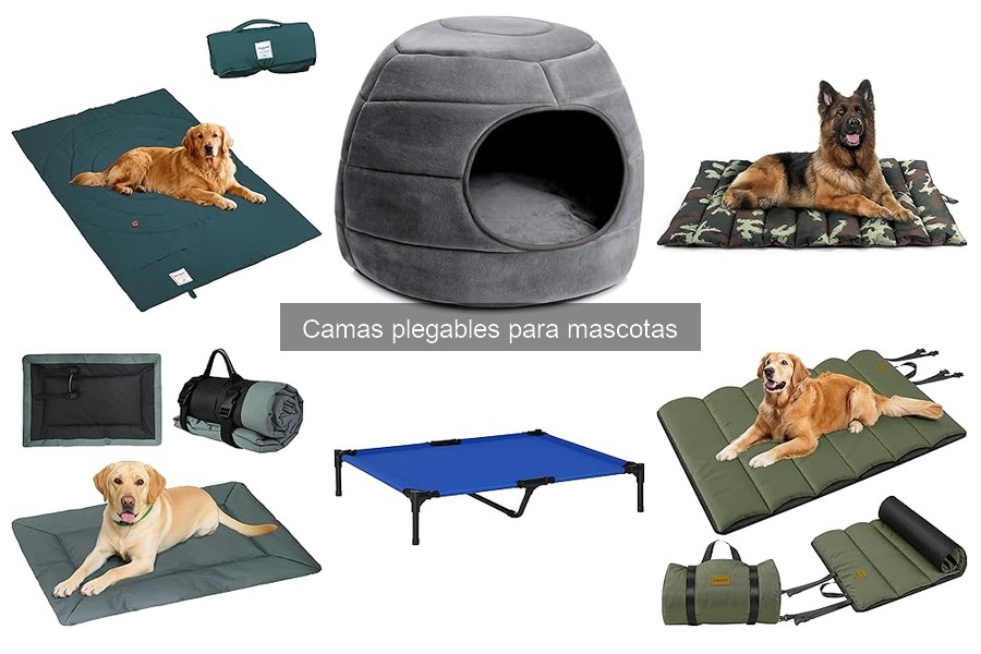 Comparativa: Camas Plegables vs. Tradicionales para Mascotas