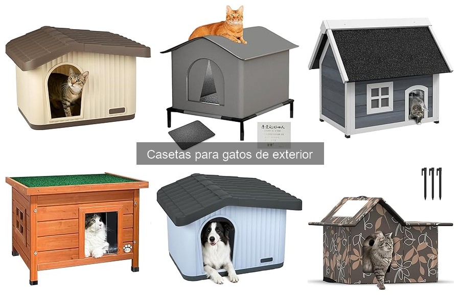 Comparativa: Casetas de Plástico vs Madera para Gatos