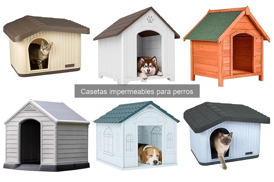 Comparativa: Casetas Impermeables vs Tradicionales para Perros