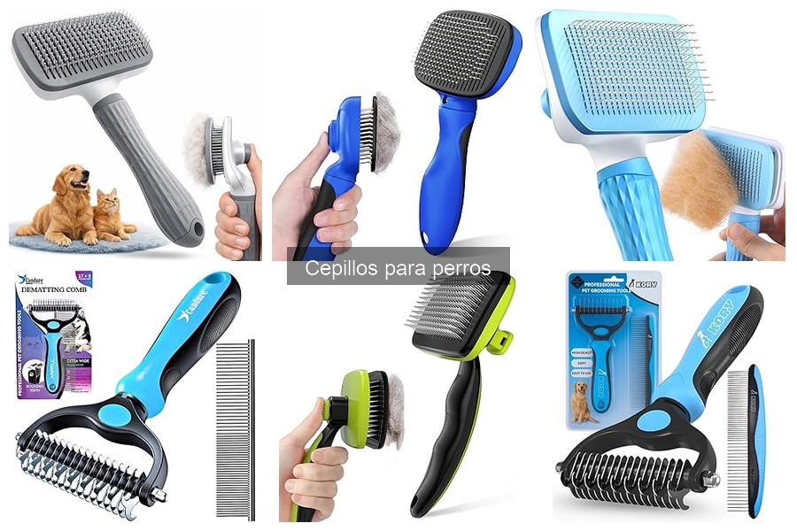 Comparativa: Cepillos de Cerdas vs. Cepillos de Goma para Perros