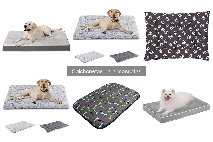 Comparativa: Colchonetas de Memoria vs Espuma para Mascotas