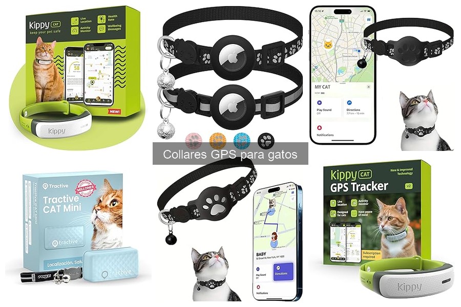 Comparativa: Collares GPS vs Microchips para Gatos