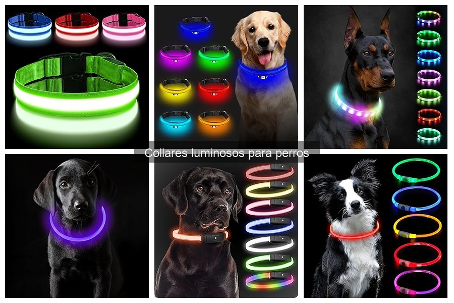 Comparativa: Collares Luminosos vs. Collares Tradicionales