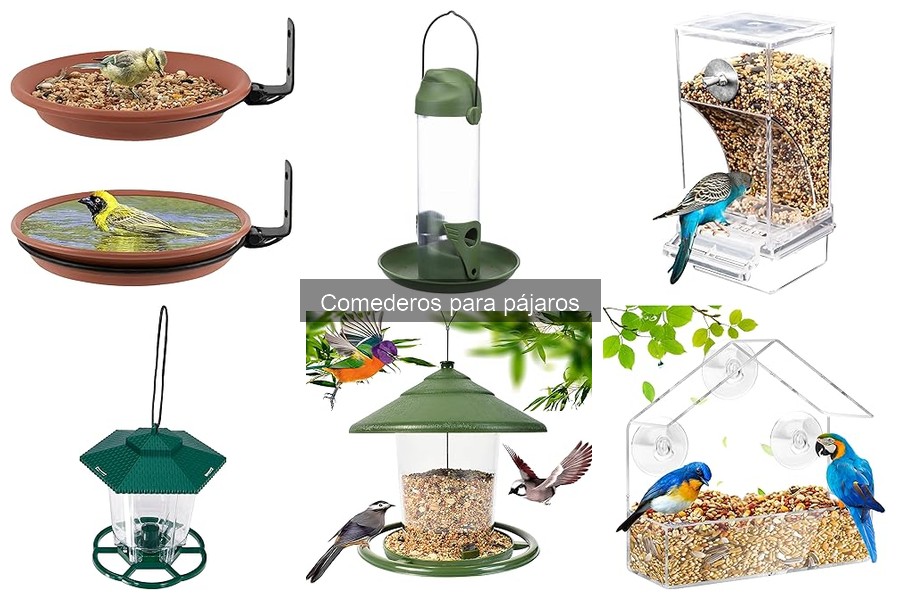Comparativa: Comederos Colgantes vs de Plataforma para Pájaros