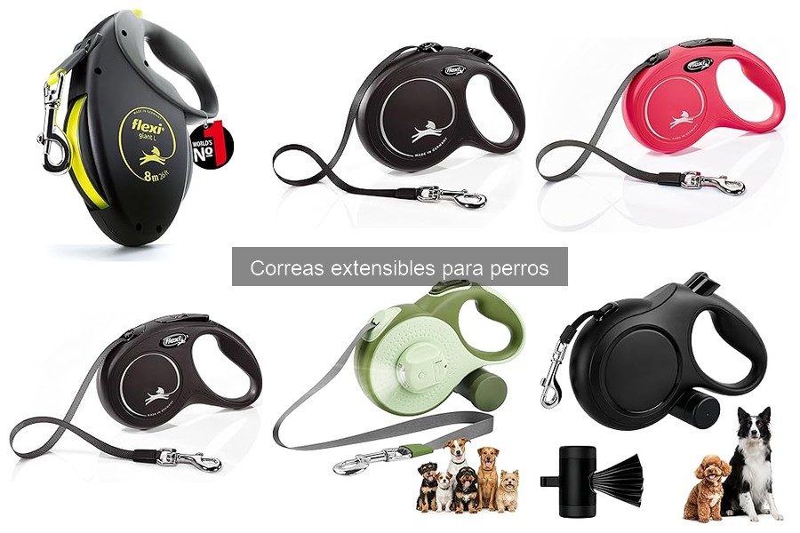 Comparativa: Correas Extensibles vs Fijas para Perros