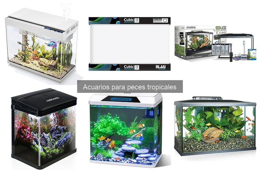 Comparativa de Aquarios para Peces Tropicales: Mejores Marcas