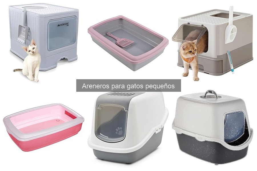 Comparativa de Areneros Abiertos vs. Cubiertos para Gatos Pequeños