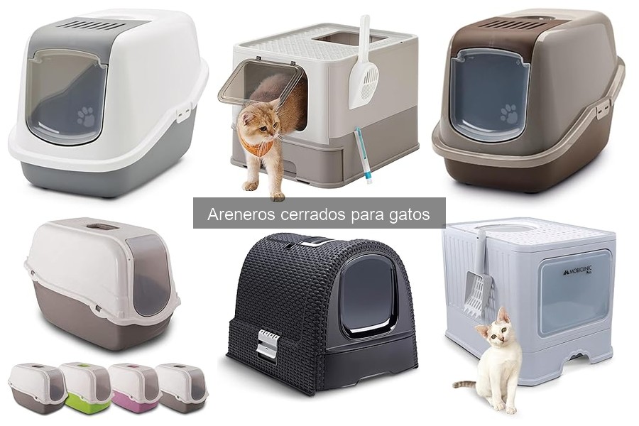 Comparativa de Areneros Cerrados y Abiertos para Gatos