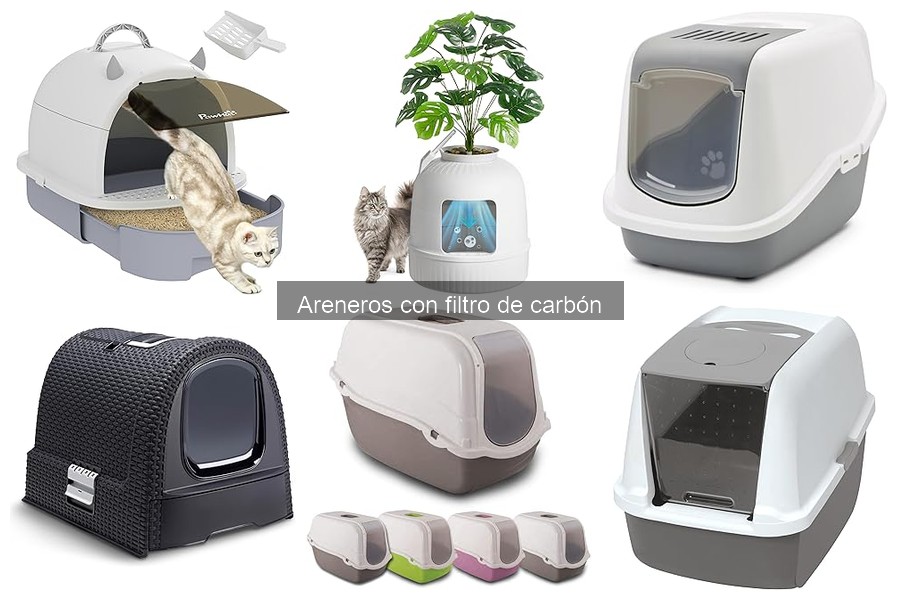 Comparativa de Areneros con Filtro de Carbón y Otros Tipos