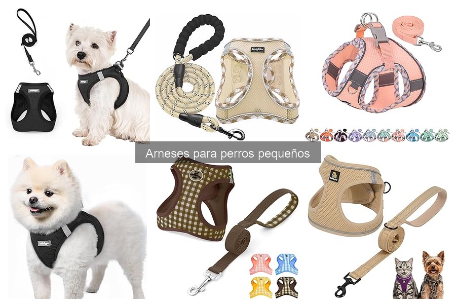 Comparativa de arneses y collares para perros pequeños