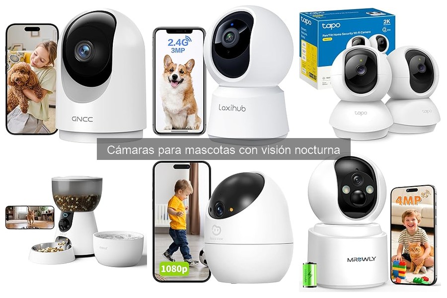 Comparativa de cámaras para mascotas con visión nocturna