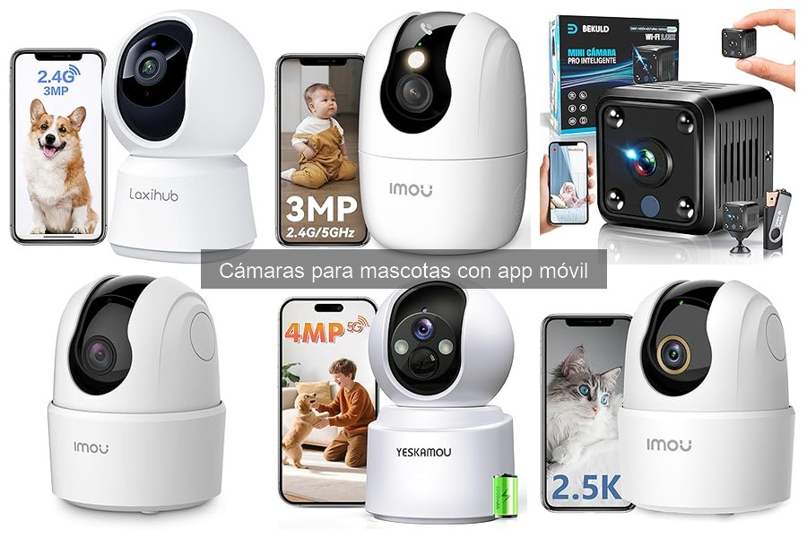 Comparativa de cámaras para mascotas con y sin app móvil