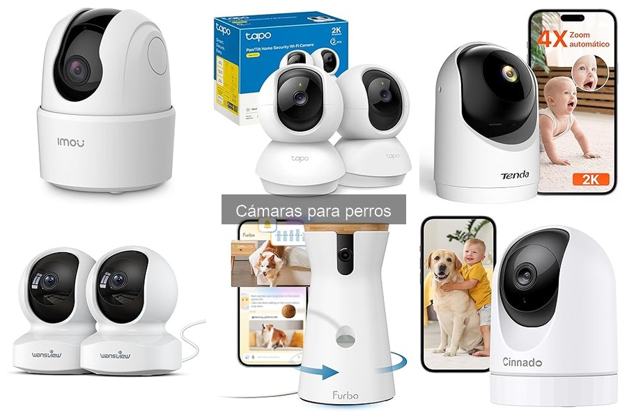 Comparativa de cámaras para perros: Imou, Tenda y Furbo