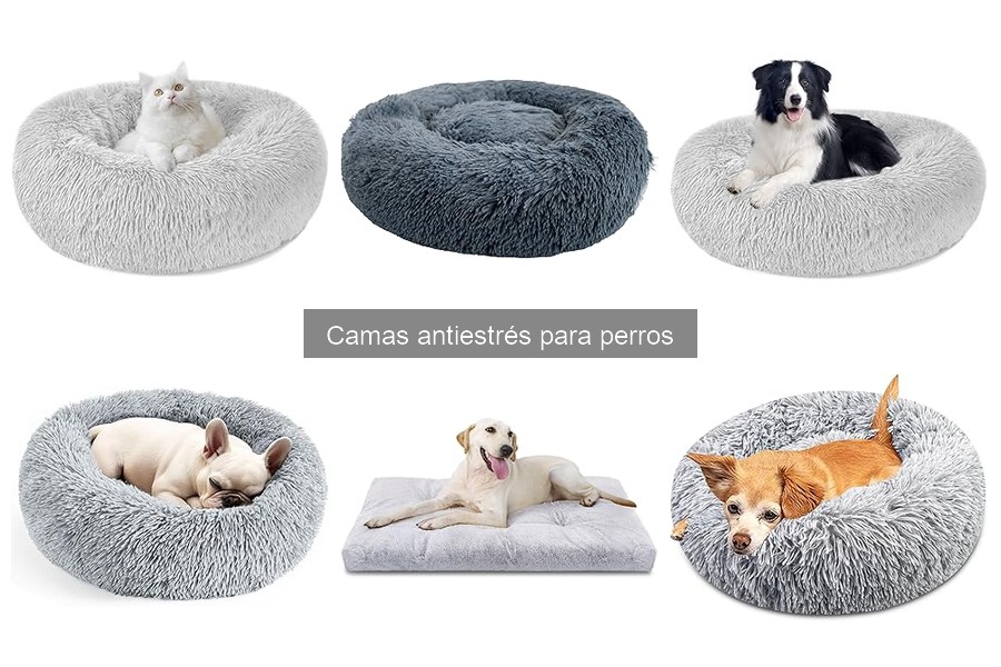 Comparativa de camas antiestrés para perros: marcas y características