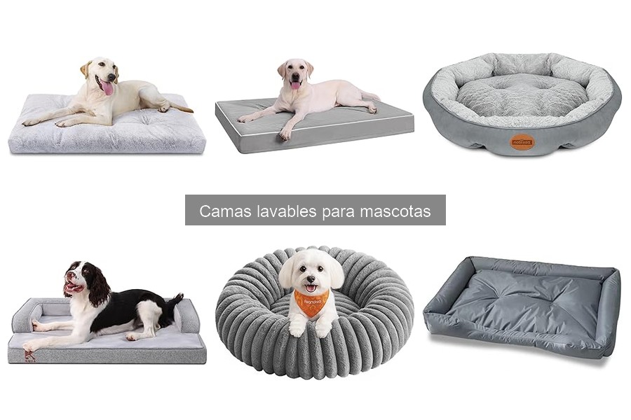 Comparativa de camas lavables para mascotas: las mejores marcas