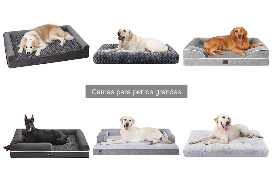 Comparativa de Camas Ortopédicas y Tradicionales para Perros Grandes