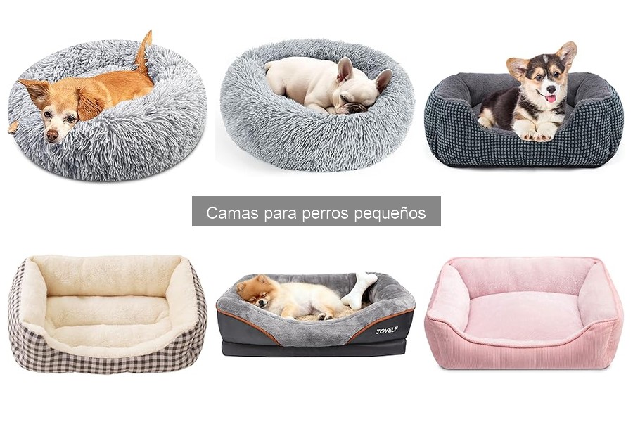 Comparativa de Camas Ortopédicas y Tradicionales para Perros Pequeños