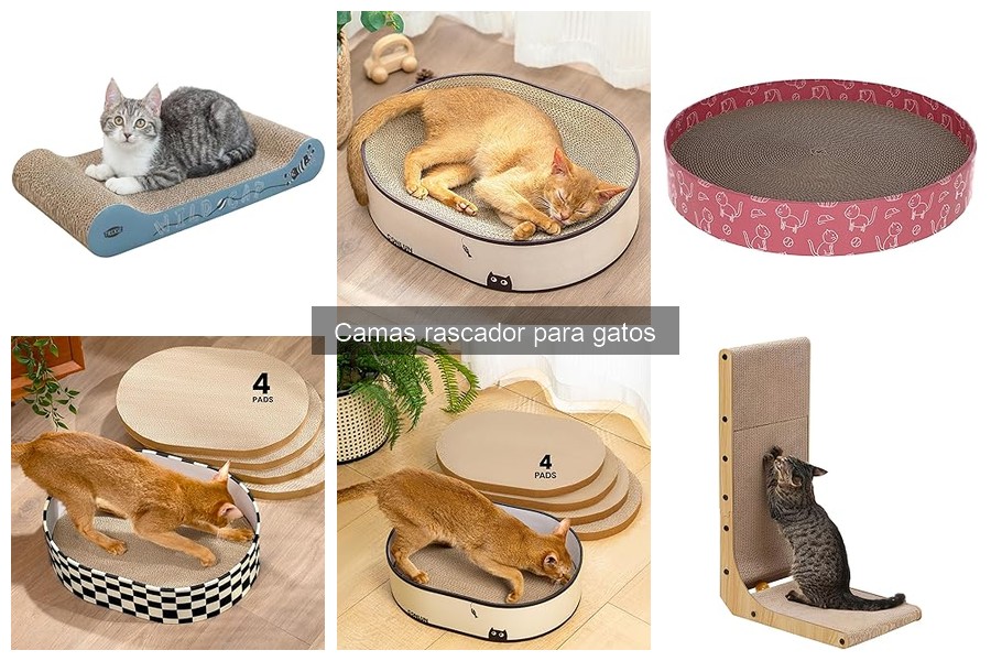 Comparativa de Camas Rascador para Gatos: Mejores Opciones