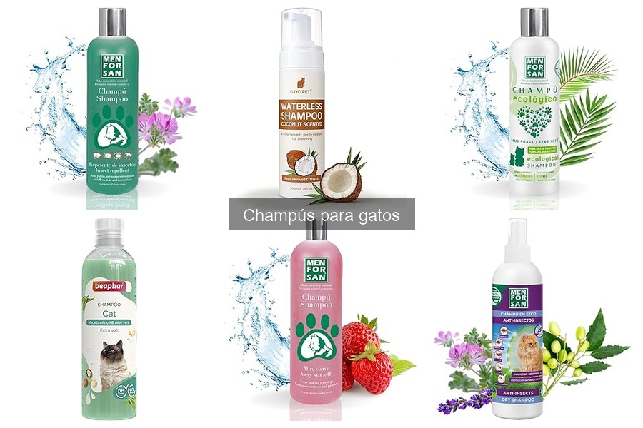 Comparativa de Champús para Gatos: Mejores Marcas y Opiniones