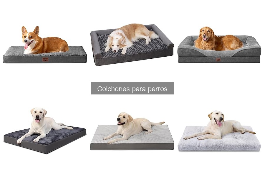 Comparativa de colchones ortopédicos y normales para perros