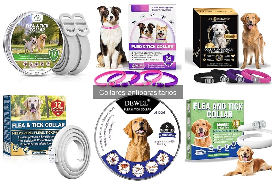 Comparativa de Collares Antiparasitarios para Perros