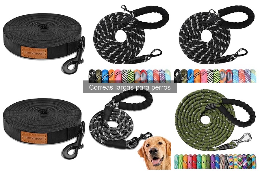 Comparativa de correas largas para perros: marcas y características