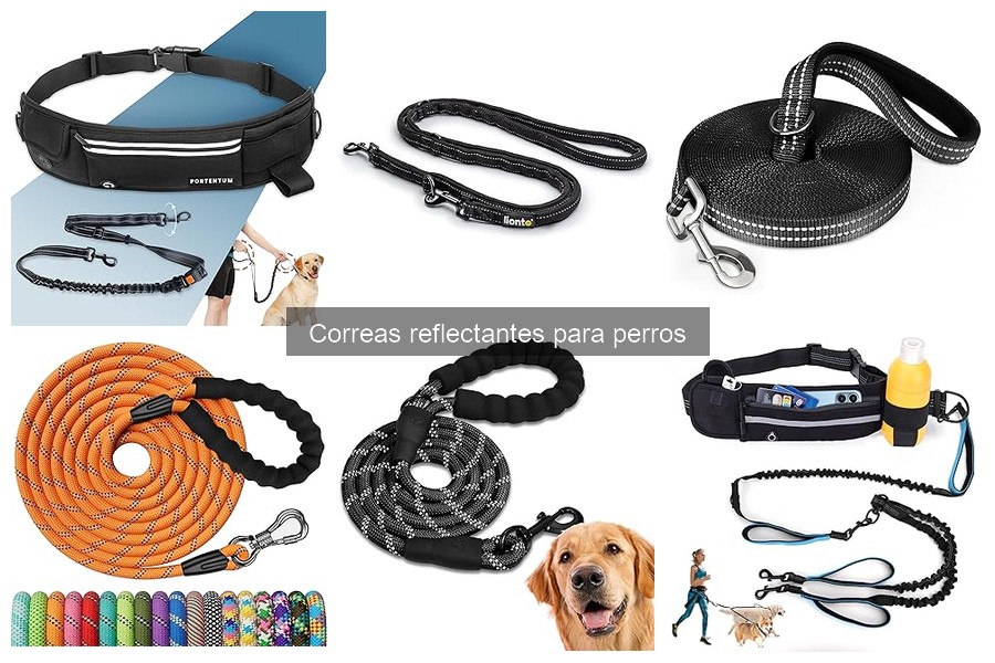 Comparativa de Correas Reflectantes para Perros en 2023