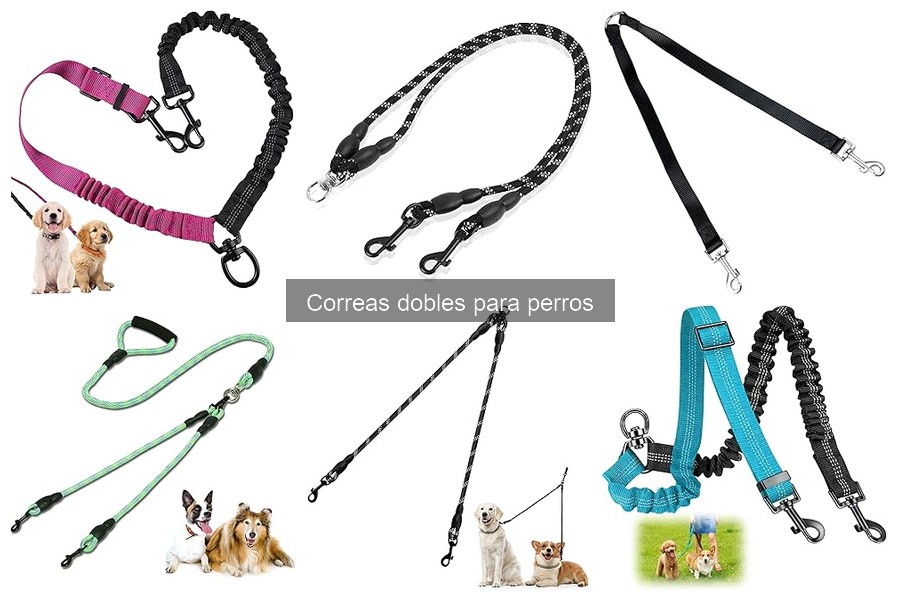 Comparativa de Correasa Dobles para Perros: Mejores Marcas