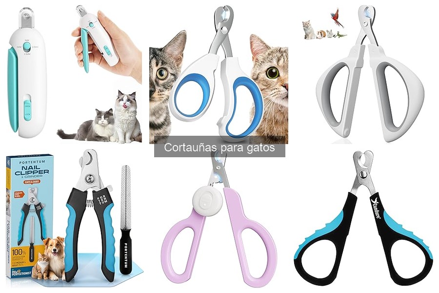 Comparativa de cortauñas eléctricos y manuales para gatos