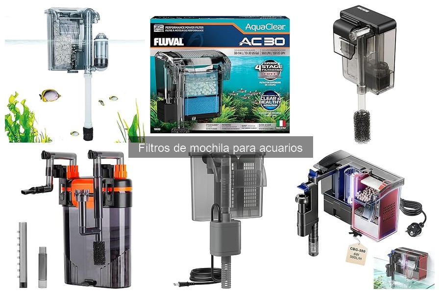 Comparativa de Filtros de Mochila para Acuarios Grandes y Pequeños